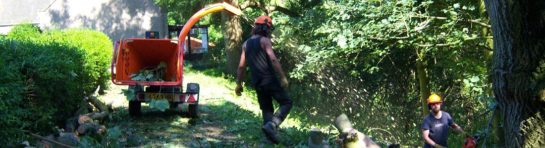 K&S Treecare