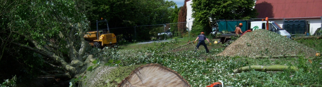 K&S Treecare