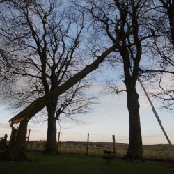 Storm damage 1