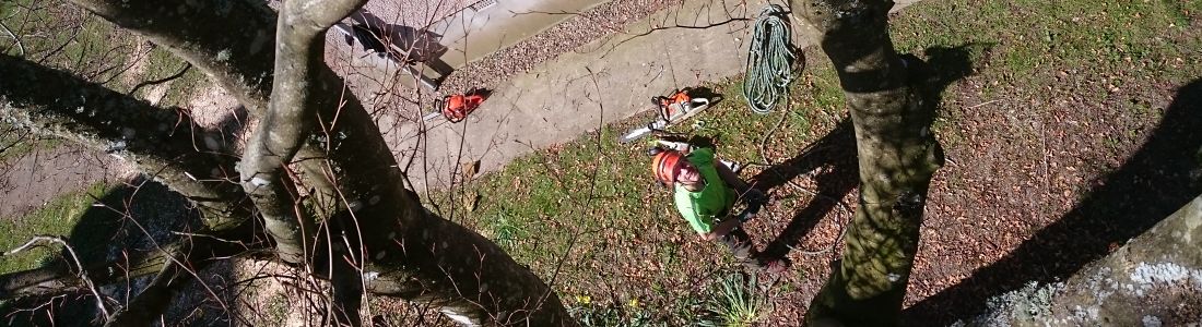 K&S Treecare