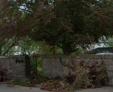 Pruning and Deadwooding