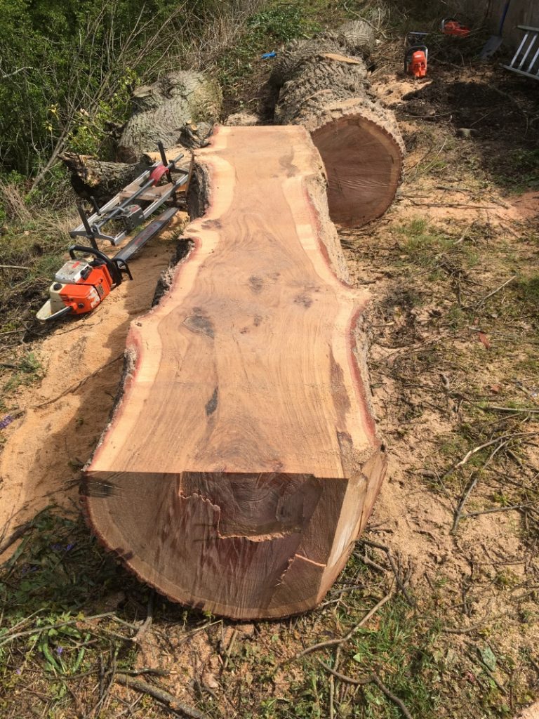 Native hardwoods can produce excellent timber