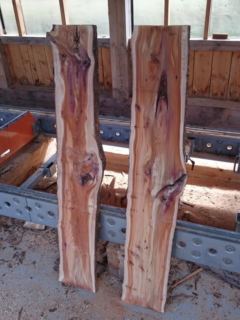 Look at these beautiful planks