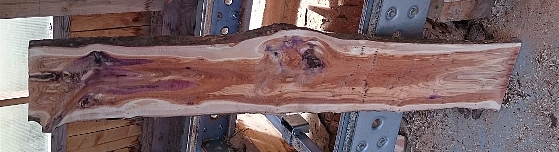 K&S Treecare